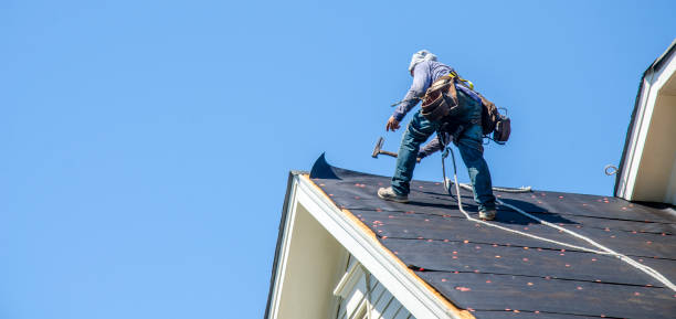 Roof Gutter Cleaning in Centre, AL